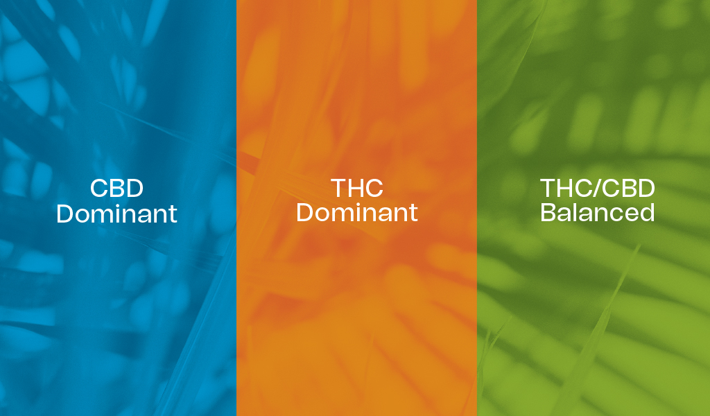 Blue, orange, and green colours used to differentiate CBD Dominant, THC Dominant, and THC/CBD Balanced cannabinoid ratio.