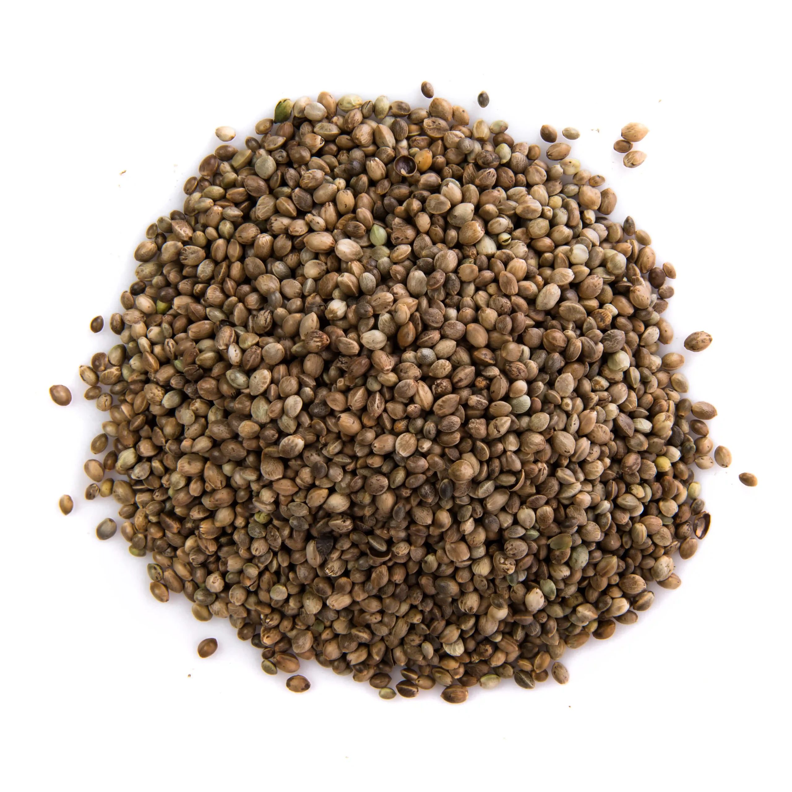 hemp-seed